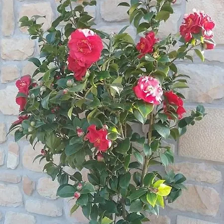 Apartamento Rural A.berri Apartamento *